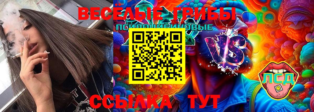 Псилоцибиновые грибы Cubensis Междуреченск