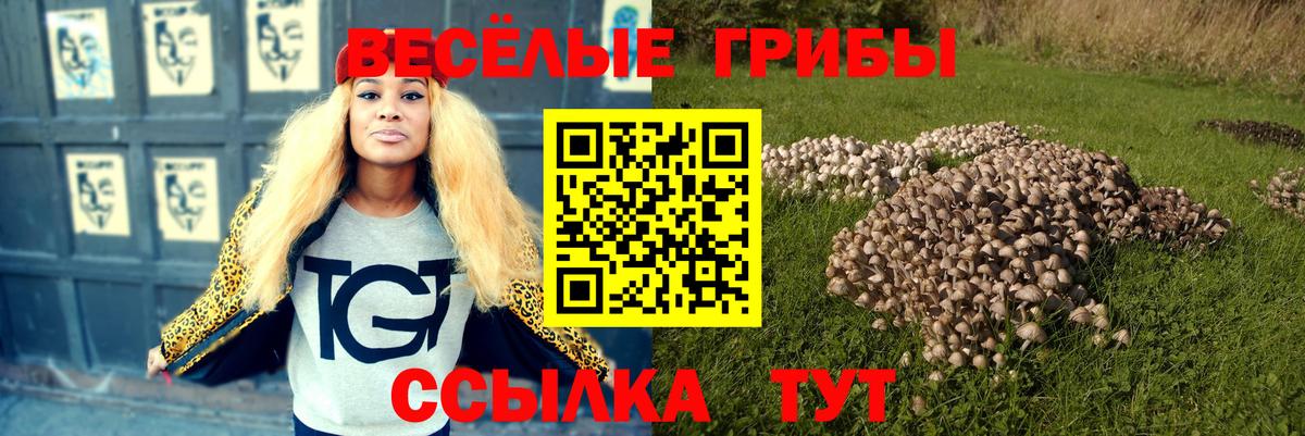 наркошоп  Псилоцибиновые грибы мицелий  Вход с VPN  Междуреченск 