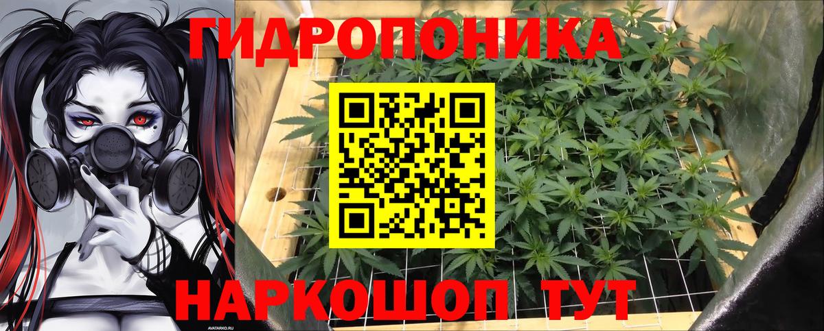 Конопля MAZAR Междуреченск
